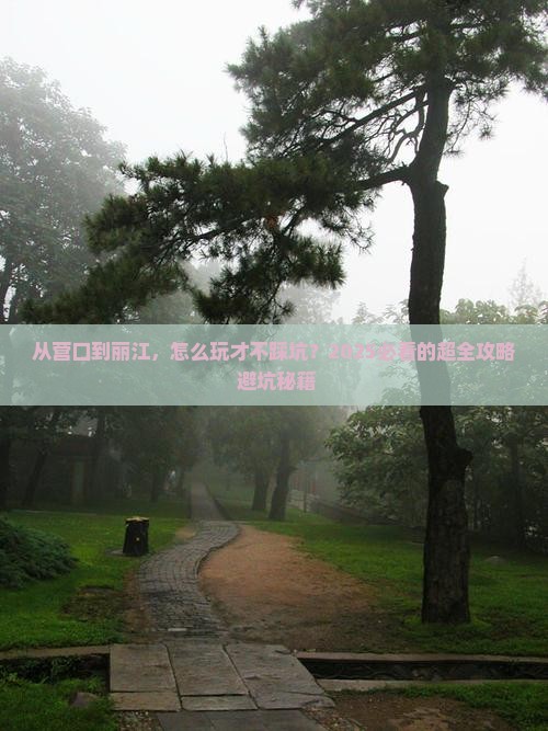 营口去云南丽江攻略