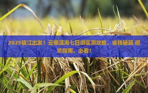镇江到云南洱海七日游