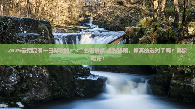 一月到云南昆明一日 一月到云南昆明一日