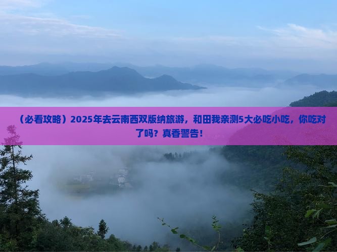和田去云南西双版纳旅游小吃