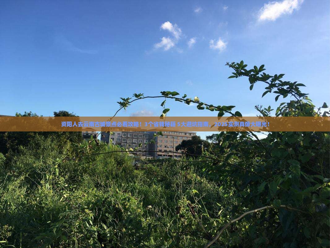 资阳去云南古城景点