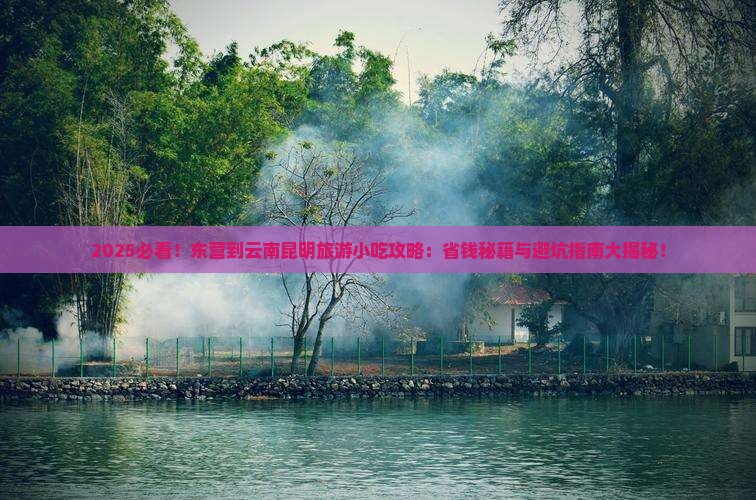 东营到云南昆明旅游小吃