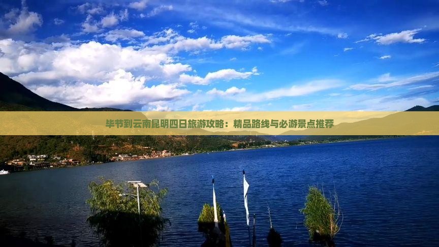 毕节去云南昆明四日游