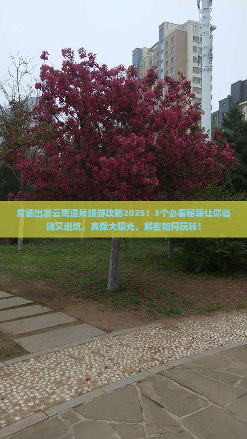 常德到云南温泉旅游 常德到云南温泉旅游