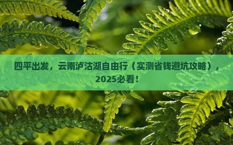 四平到云南泸沽湖攻略