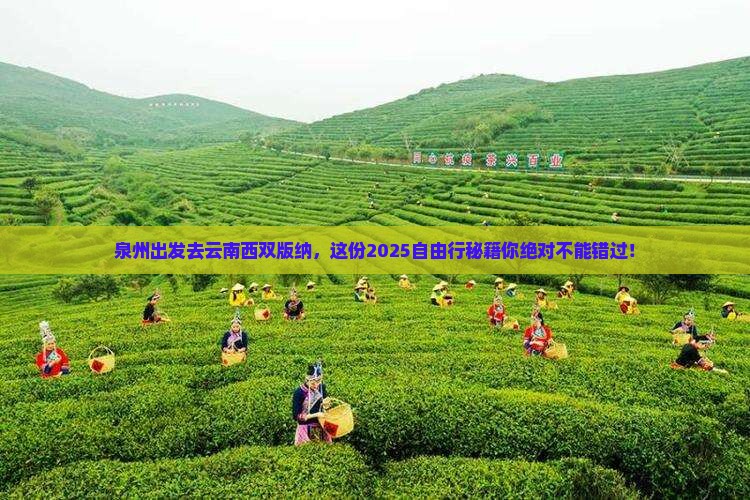 泉州去云南西双版纳自由行