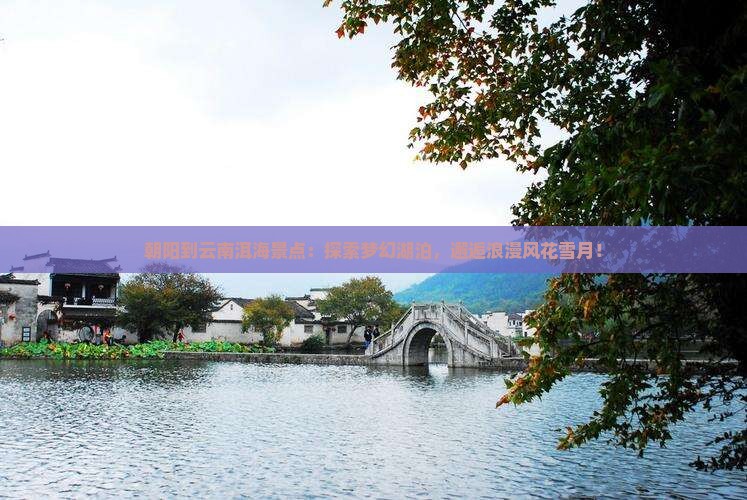 朝阳到云南洱海景点