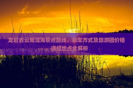 龙岩去云南洱海景点