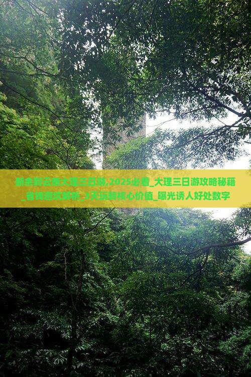 新余到云南大理三日游