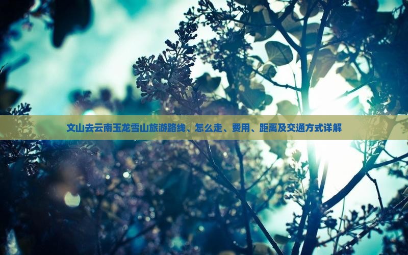 文山去云南玉龙雪山旅游