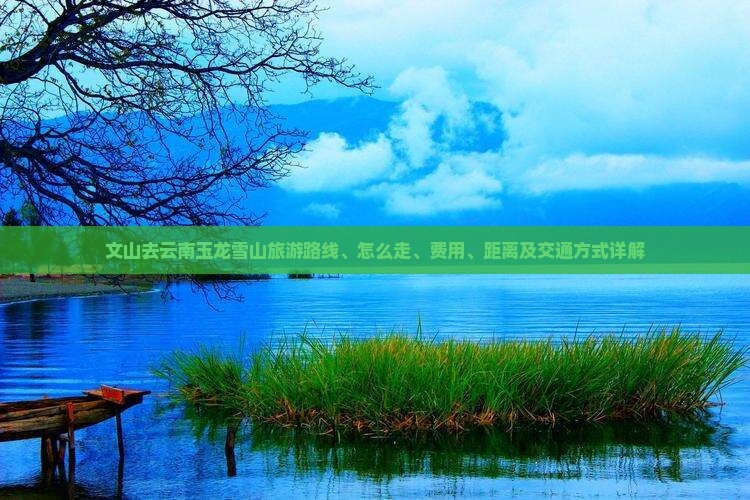 文山去云南玉龙雪山旅游