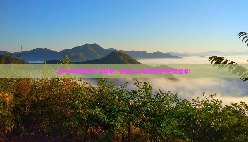 四月去云南旅游小吃