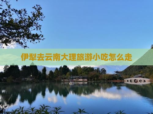 伊犁去云南大理旅游小吃