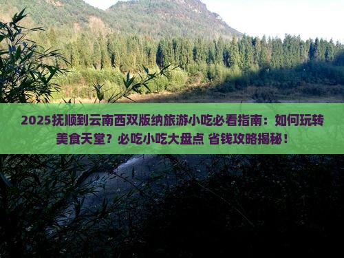 抚顺到云南西双版纳旅游小吃
