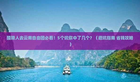醴陵去云南自由团