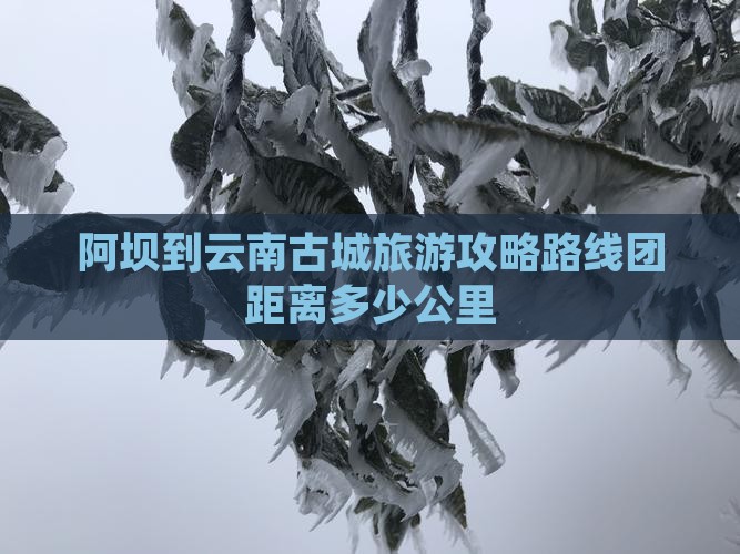 阿坝到云南古城旅游