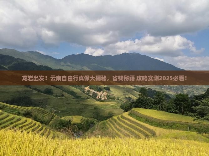 龙岩到云南自由行