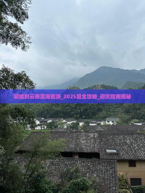 聊城到云南洱海旅游