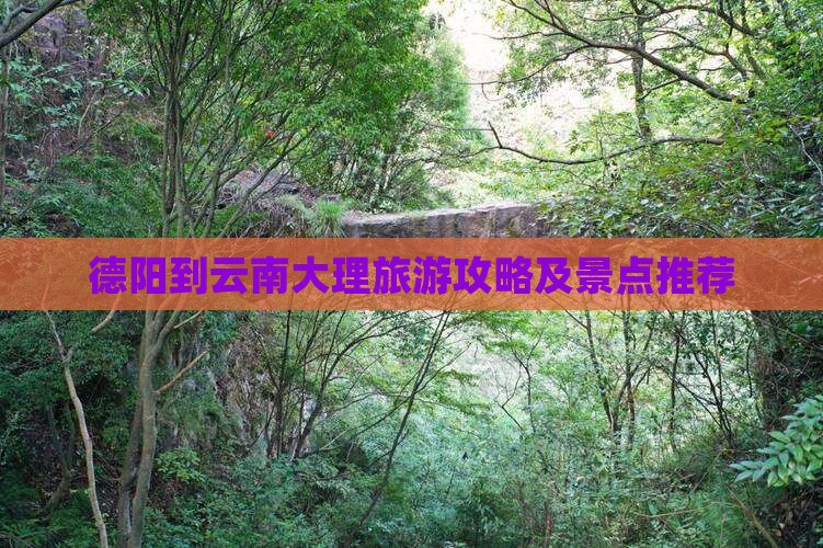 德阳到云南大理自由团
