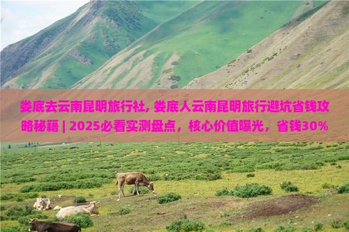 娄底去云南昆明旅行社