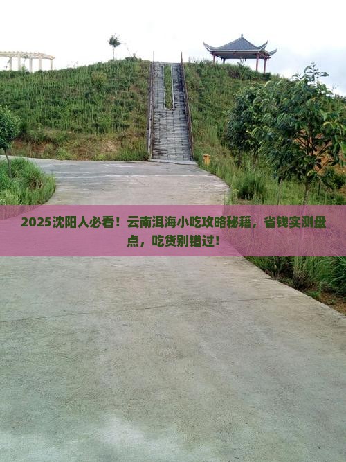 沈阳到云南洱海旅游小吃