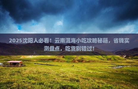 沈阳到云南洱海旅游小吃