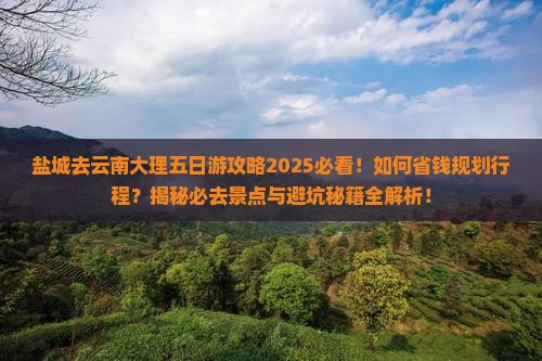 盐城去云南大理五日游