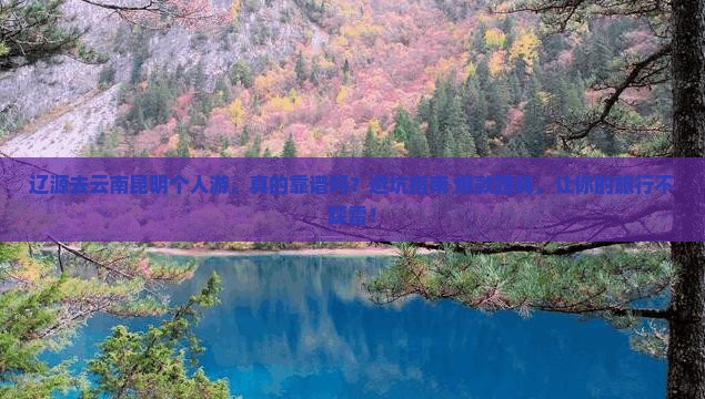 辽源去云南昆明个人游