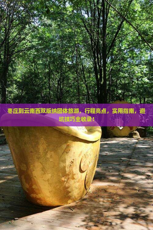 枣庄到云南西双版纳团体旅游