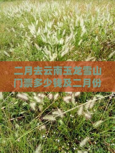 二月去云南玉龙雪山门票