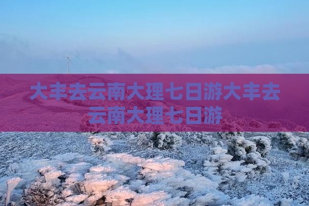 大丰去云南大理七日游