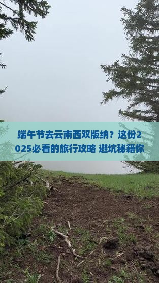 端午节去云南西双版纳团体旅游