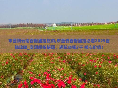 东营到云南香格里拉旅游