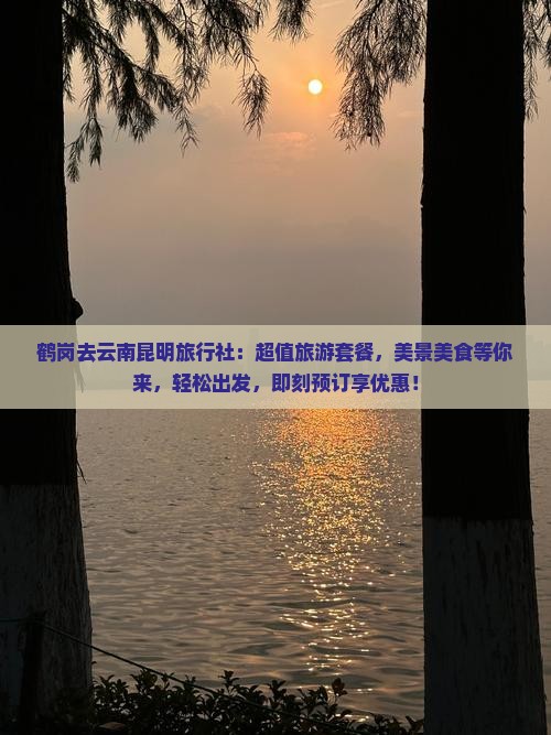 鹤岗去云南昆明旅行社