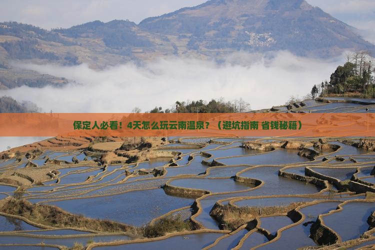 保定去云南温泉四日游