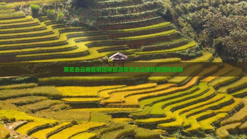 莱芜去云南昆明团体旅游
