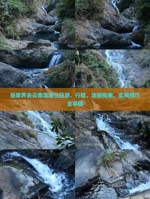张家界去云南洱海三日游