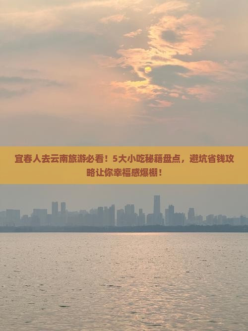 宜春去云南旅游小吃