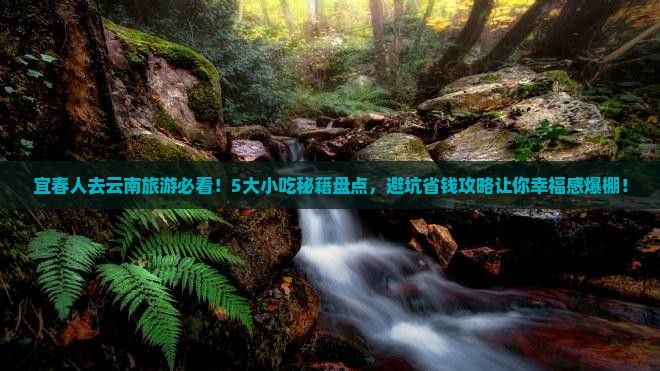 宜春去云南旅游小吃