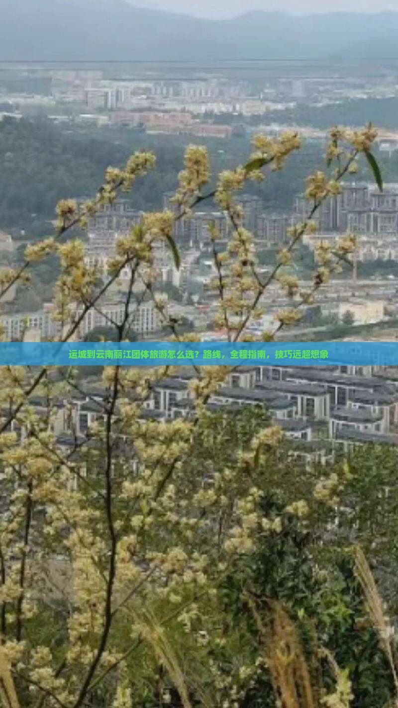 运城到云南丽江团体旅游