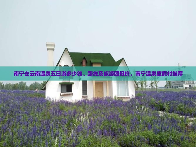 南宁去云南温泉五日游
