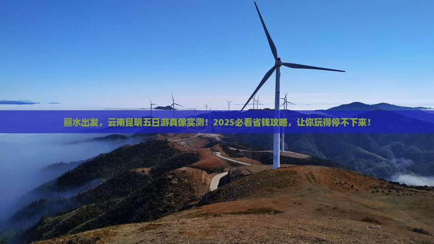 丽水到云南昆明五日游
