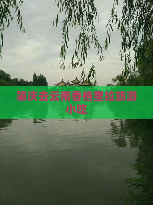 肇庆去云南香格里拉旅游小吃