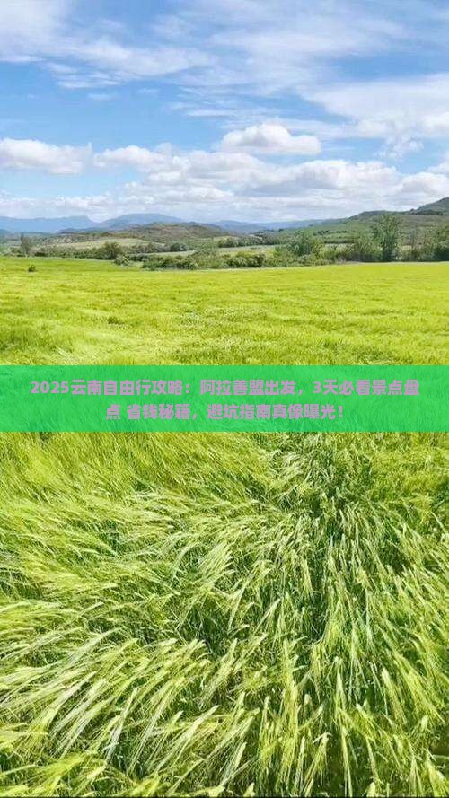 阿拉善盟到云南自由行