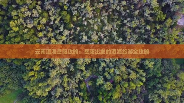 岳阳去云南洱海攻略