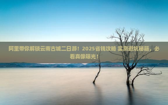 阿里到云南古城二日游