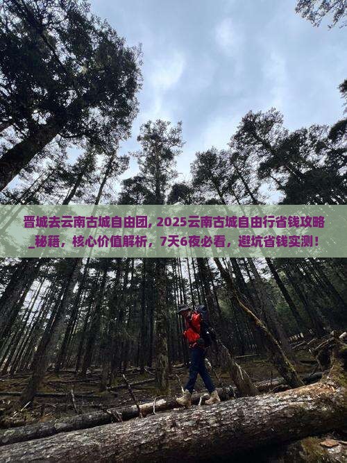 晋城去云南古城自由团