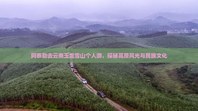 阿泰勒去云南玉龙雪山个人游