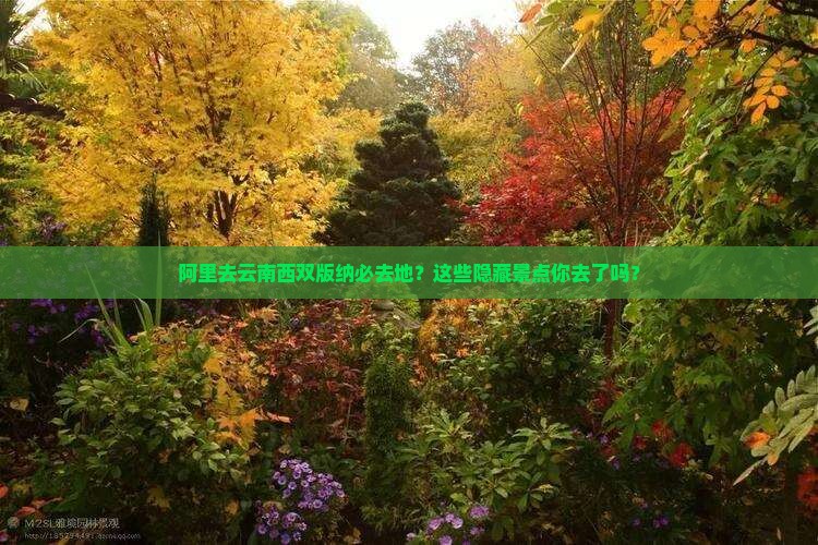 阿里去云南西双版纳必去地