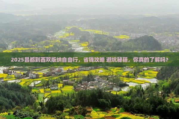 昌都到云南西双版纳自由团